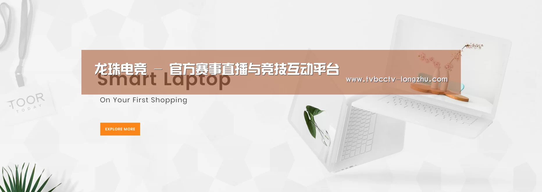 某某网络科技有限公司