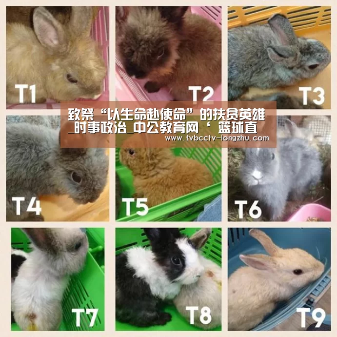致祭“以生命赴使命”的扶贫英雄_时事政治_中公教育网‘ 篮球直播’(图3) 龙珠体育app比分直播