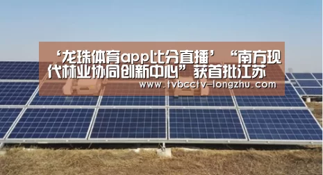 龙珠体育app比分直播