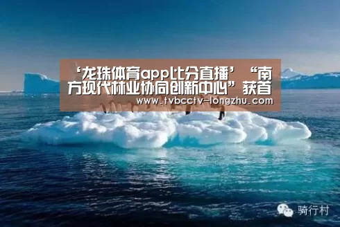  赛事数据直播
