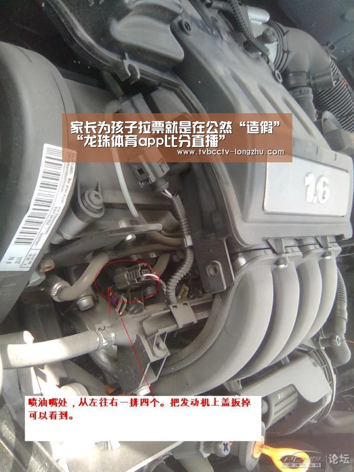  赛事数据直播