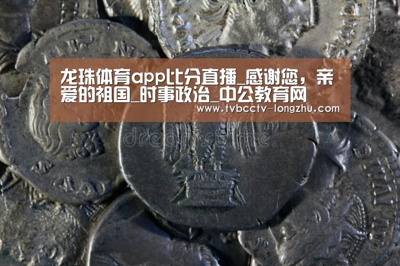  篮球直播