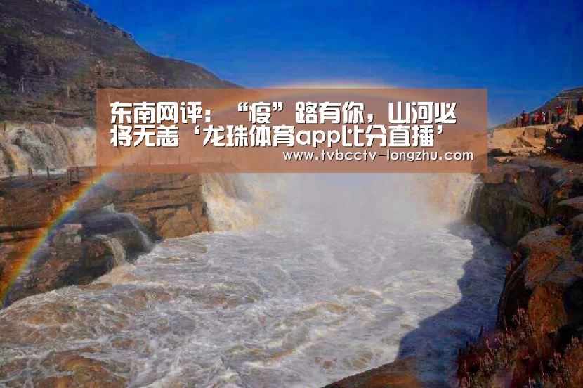  篮球直播