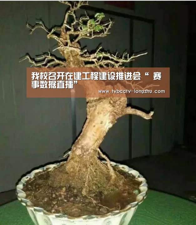 我校召开在建工程建设推进会“ 赛事数据直播”(图2) 实时比分