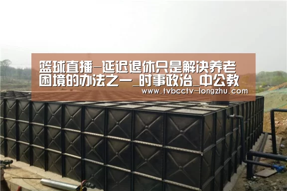篮球直播-延迟退休只是解决养老困境的办法之一_时事政治_中公教育网(图1) 足球直播
