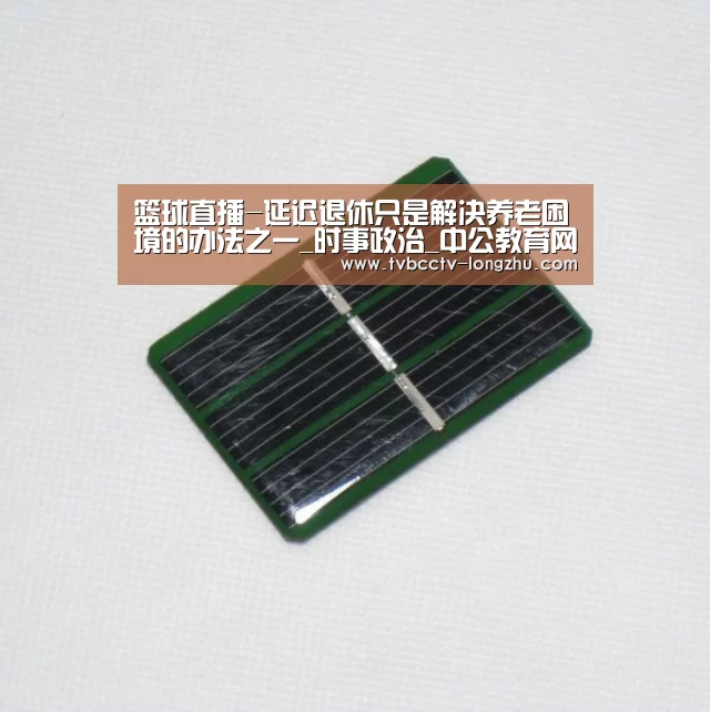 篮球直播-延迟退休只是解决养老困境的办法之一_时事政治_中公教育网(图3) 足球直播