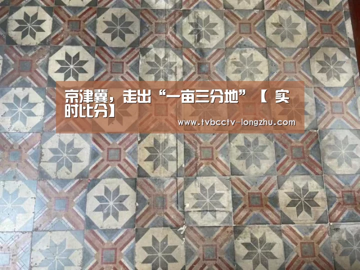  实时比分