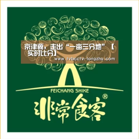  篮球直播