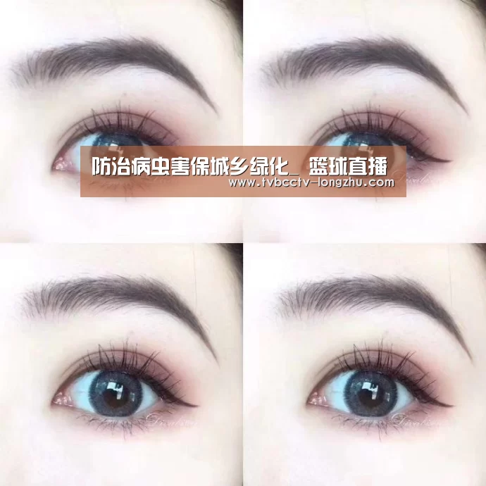 防治病虫害保城乡绿化_ 篮球直播(图2) 赛事数据直播