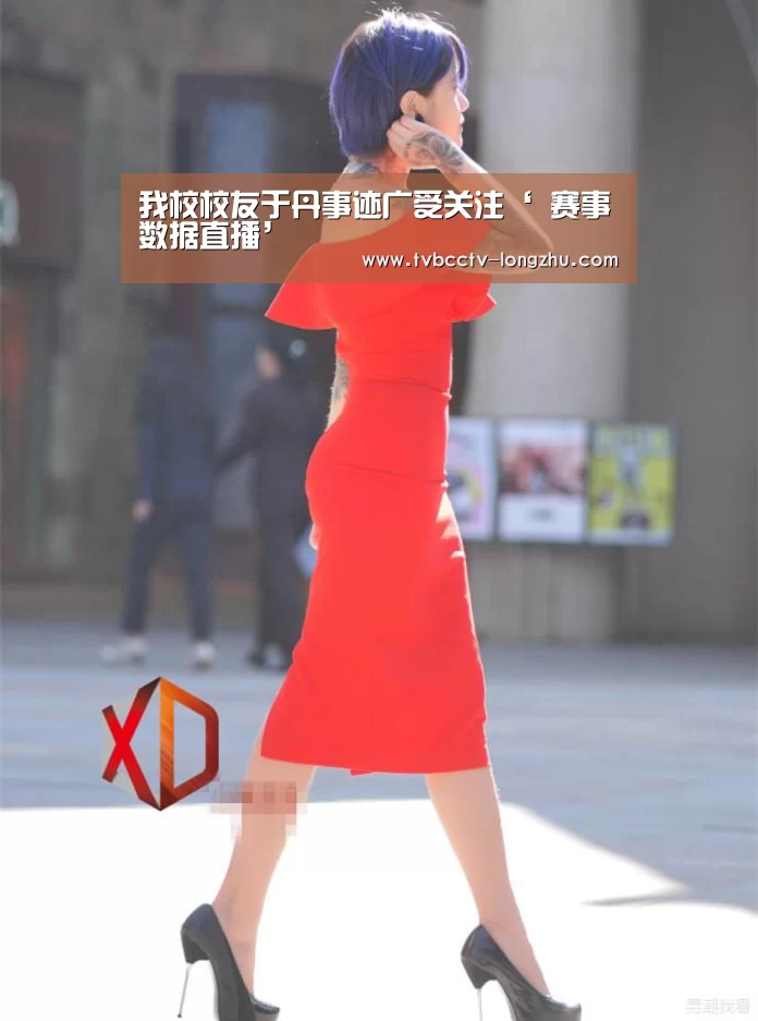 我校校友于丹事迹广受关注‘ 赛事数据直播’(图1) 龙珠体育app比分直播