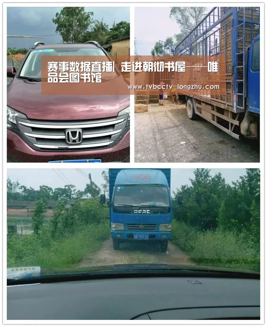 赛事数据直播|
走进朝彻书屋——唯品会图书馆(图6) 龙珠体育app比分直播