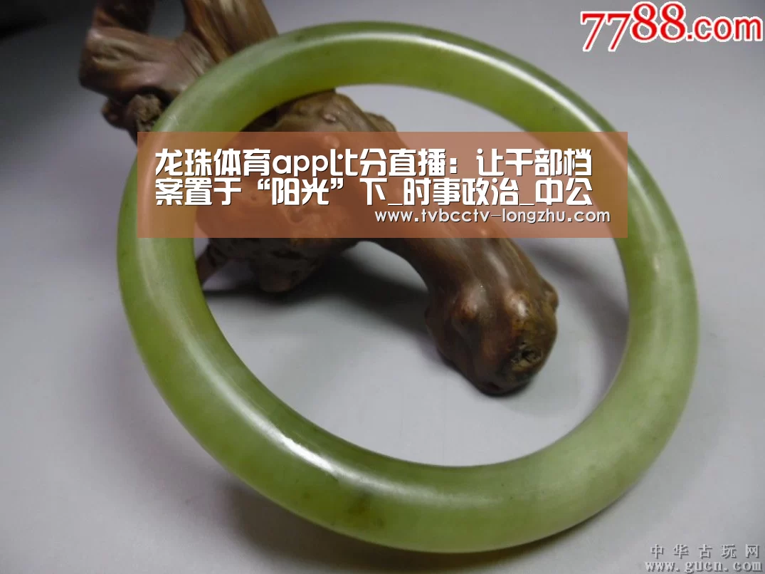 龙珠体育app比分直播:让干部档案置于“阳光”下_时事政治_中公教育网(图2) 篮球直播
