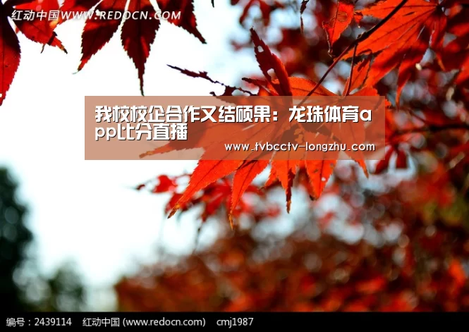 我校校企合作又结硕果:龙珠体育app比分直播(图2) 实时比分