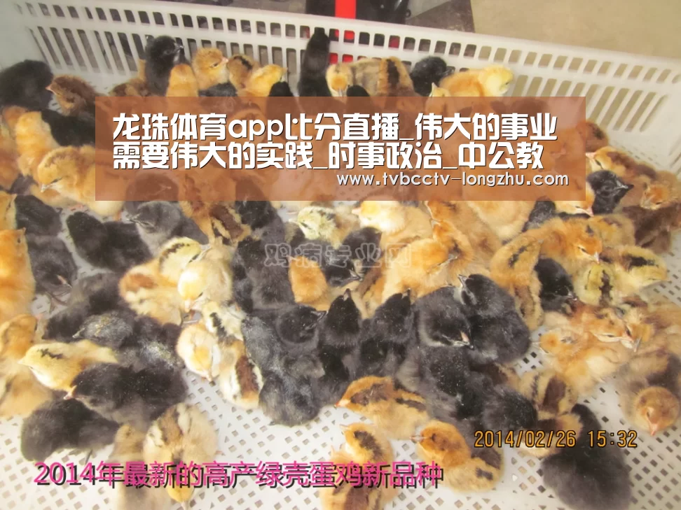 龙珠体育app比分直播_伟大的事业需要伟大的实践_时事政治_中公教育网(图4) 足球直播
